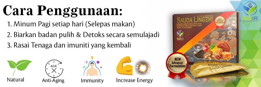 cara penggunaan